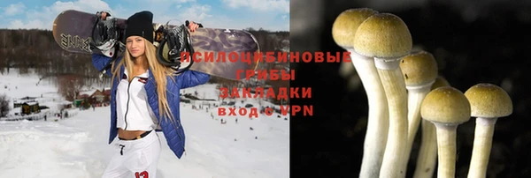 гашик Аркадак