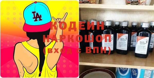 хмурый Алзамай
