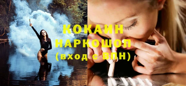 гашик Аркадак